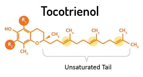 Tocotrienols-unsaturated vitamin E