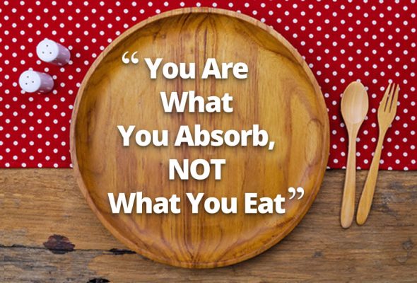 you are what you absorb not what you eat