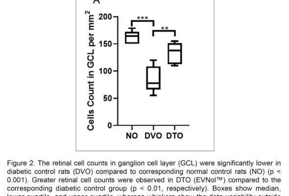 EVNol-increases-retinal-cell-count-diabetic-retinopathy