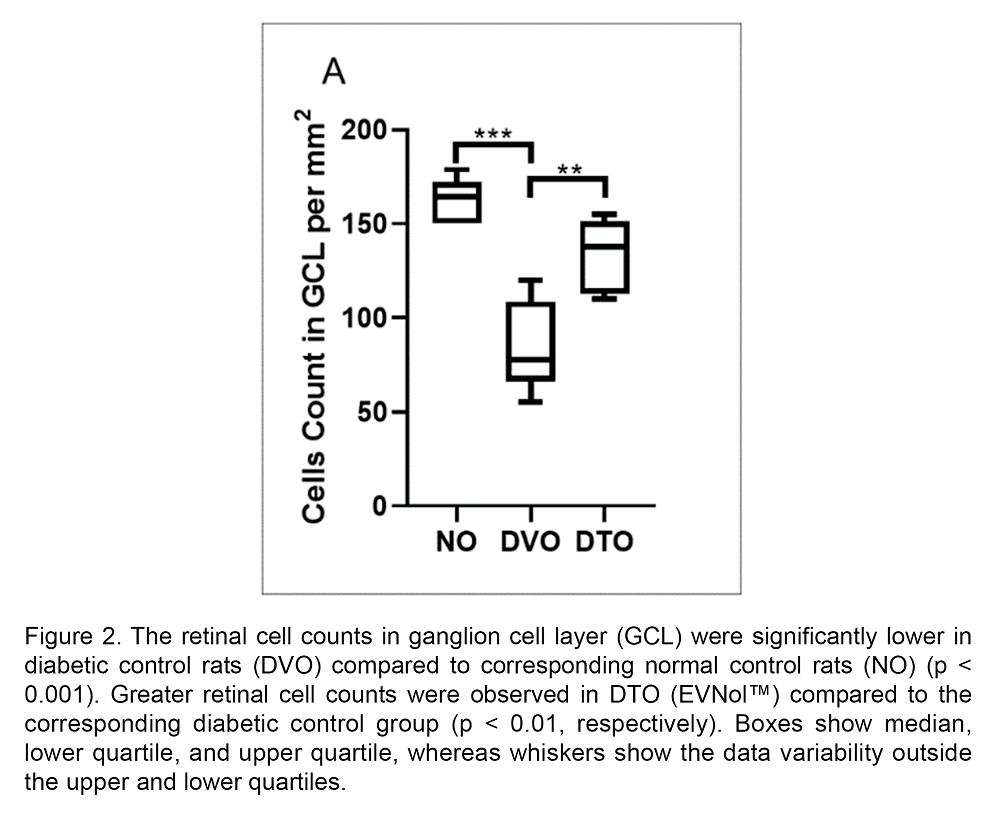 EVNol-increases-retinal-cell-count-diabetic-retinopathy